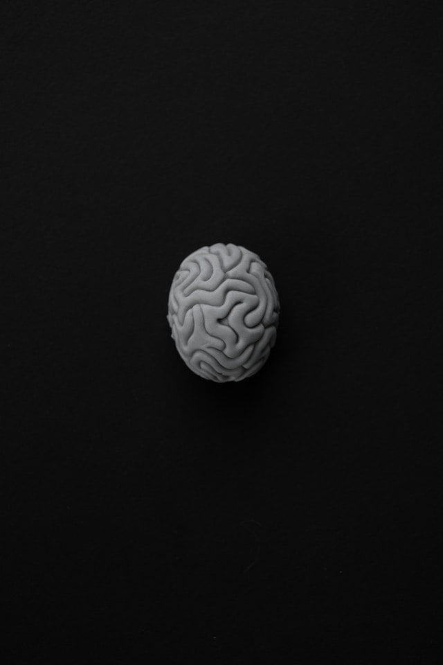 A small grey brain on a black background, offering wellness tips.