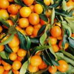 A pile of tangerines with green leaves, offering diet advice for wellness tips.