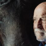 A senior man is standing next to a bull, emphasizing ideas for senior health.