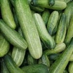 Many green cucumbers are piled up in a pile, providing wellness tips for senior health.