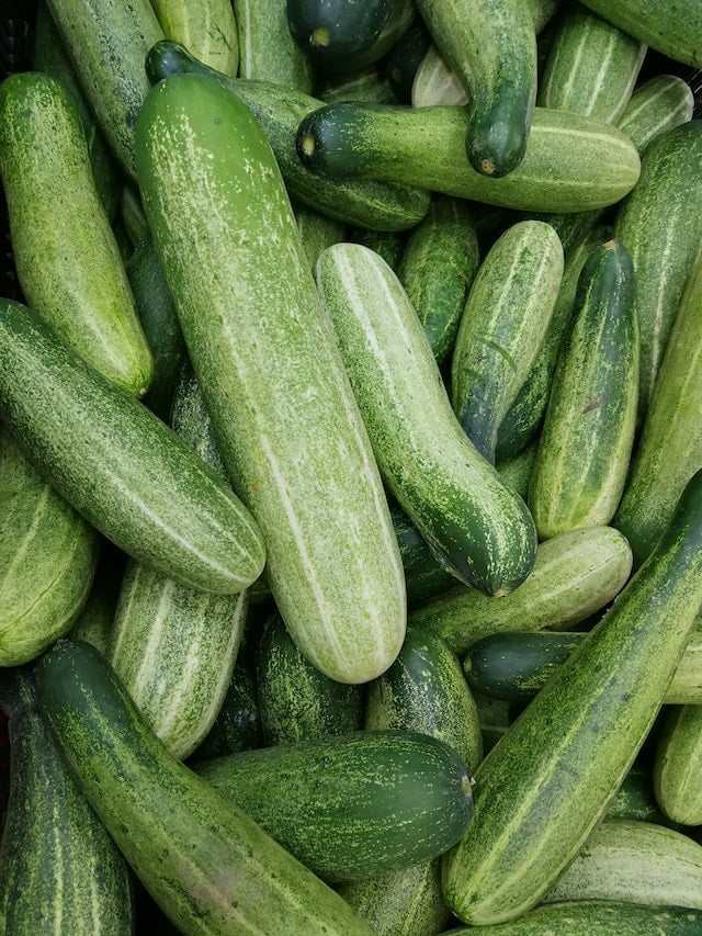 Many green cucumbers are piled up in a pile, providing wellness tips for senior health.