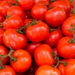 A large pile of ripe red tomatoes.