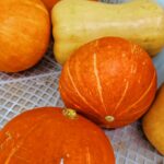 A group of squashes in a basket, the perfect addition to any anti-aging diet.