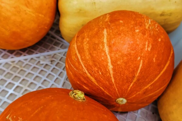 A group of squashes in a basket, the perfect addition to any anti-aging diet.
