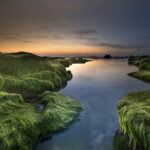 Mossy rocks in the water at sunset, reminiscent of serenity and tranquility.