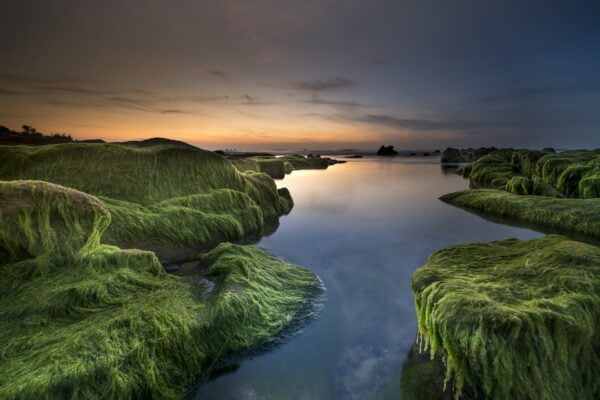 Mossy rocks in the water at sunset, reminiscent of serenity and tranquility.