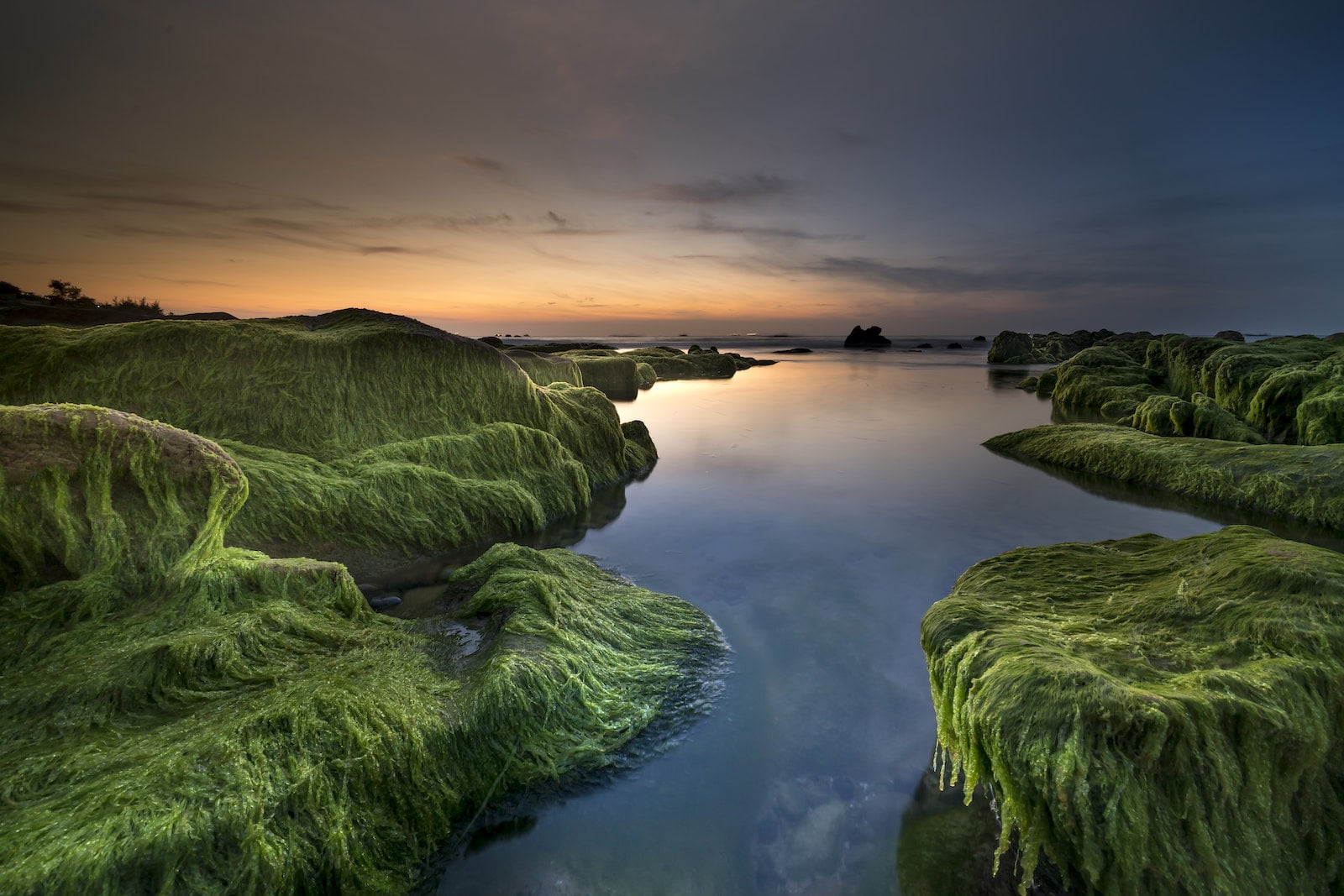 Mossy rocks in the water at sunset, reminiscent of serenity and tranquility.