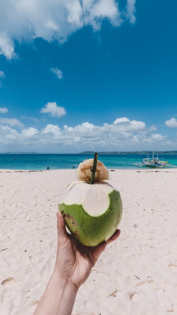Person Holding a Coconut Water