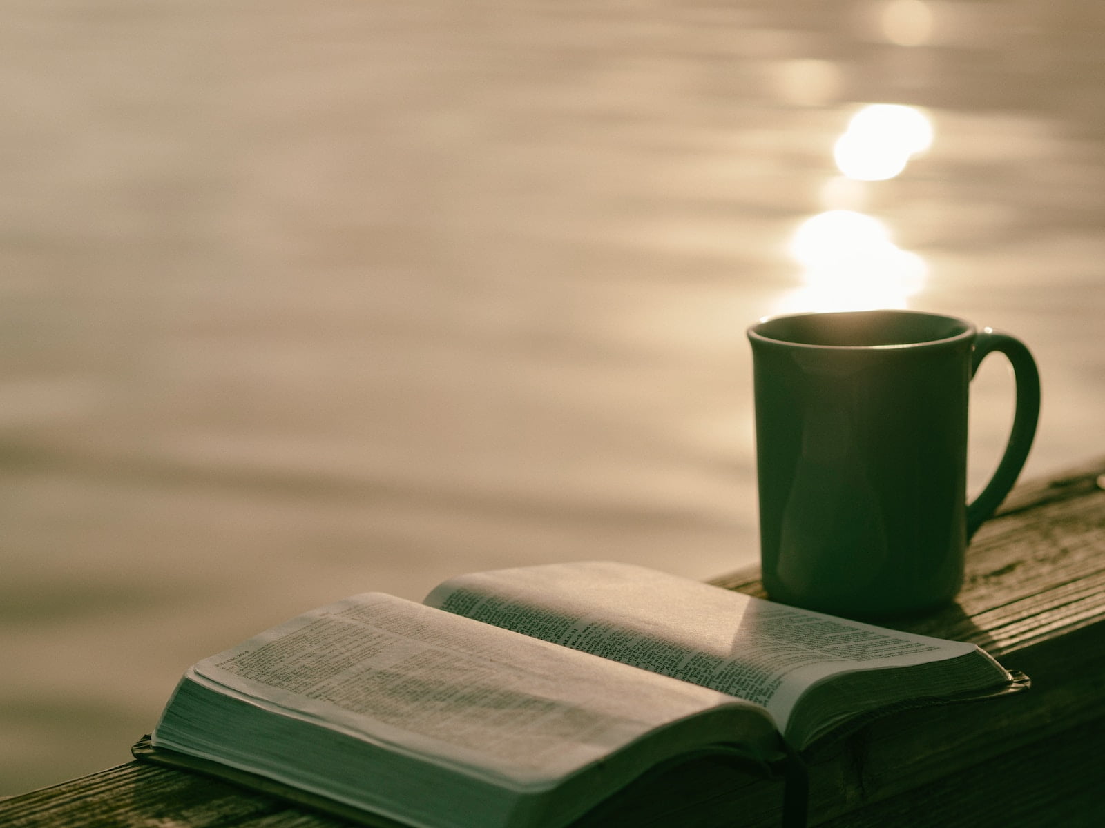 An open book and a cup of coffee on a dock, perfect for those seeking longevity tips or wanting to learn about diet advice for senior health.